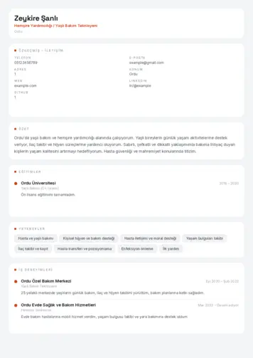Hasta ve Yaşlı Bakım Elemanı Cv Örnekleri cv indir